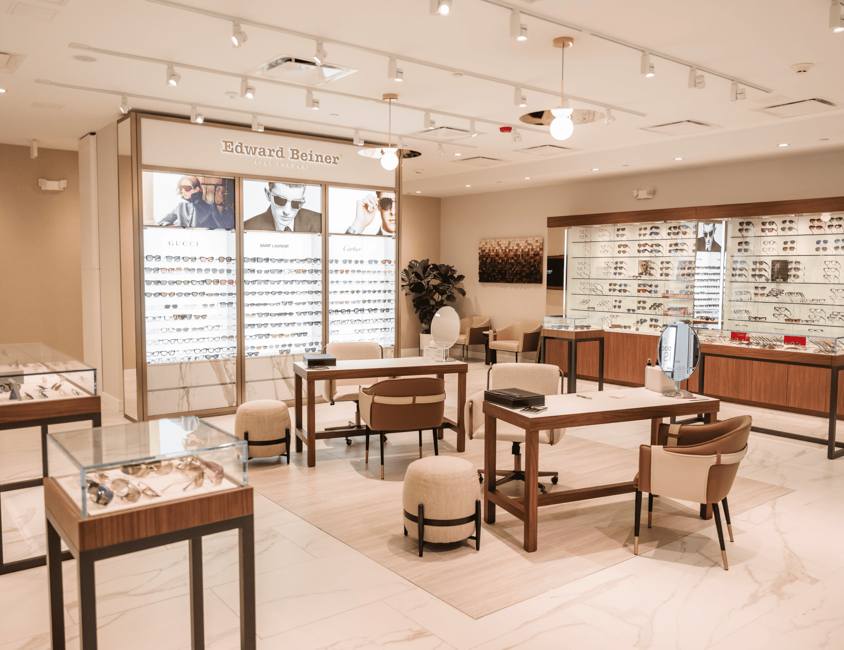 A retail display showcasing a diverse selection of eyeglasses and sunglasses arranged on shelves.