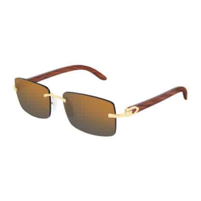 picture of Cartier CT0012RS Sunglasses 73937876
