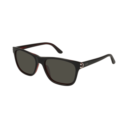 picture of Cartier CT0001S Sunglasses 17669077