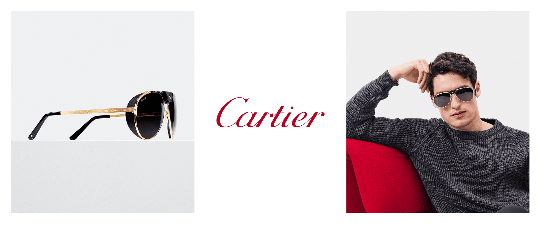 Cartier 4 Collection Image