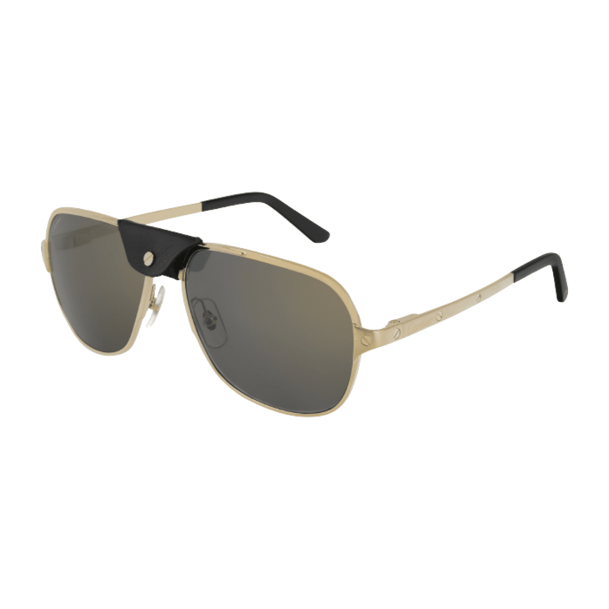 picture of Cartier CT0165SAB Sunglasses 32105830