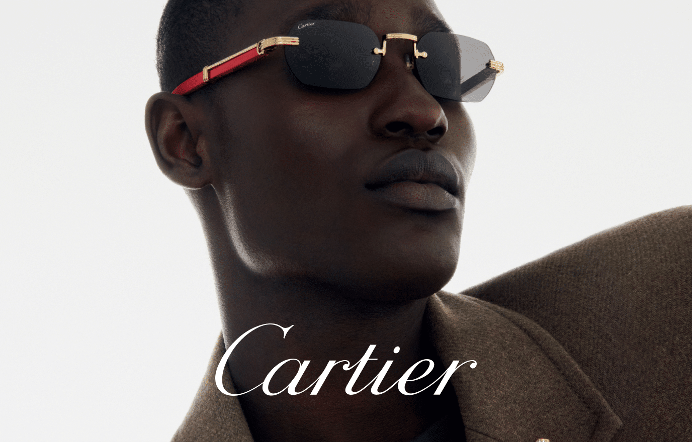 Cartier our collection