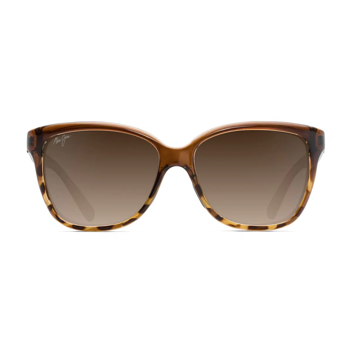 01t-trnslcnt-chocolate-tort