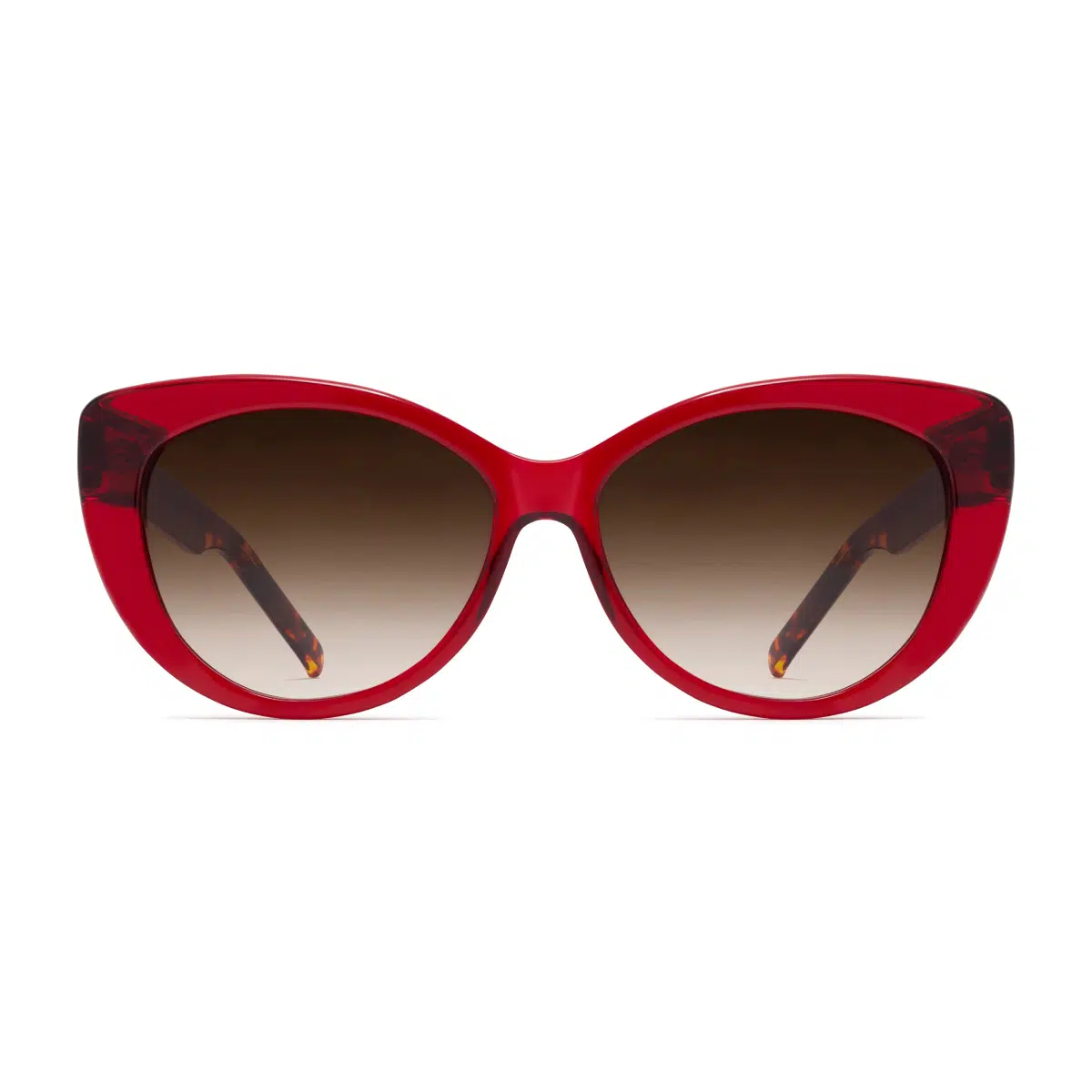 516-crimson-tortoise