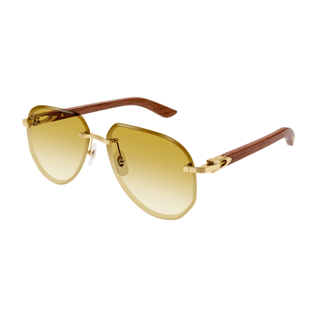 Cartier　サングラス Cartier CT0440S Sunglasses | Free Shipping | Edward Beiner