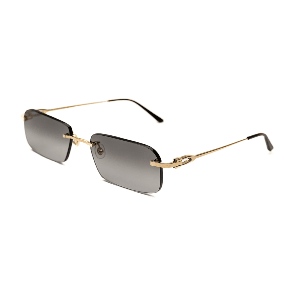 Cartier CT0290O Charcoal Gradient Sunglasses | Edward Beiner