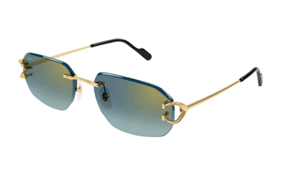 Cartier CT0468S Frame