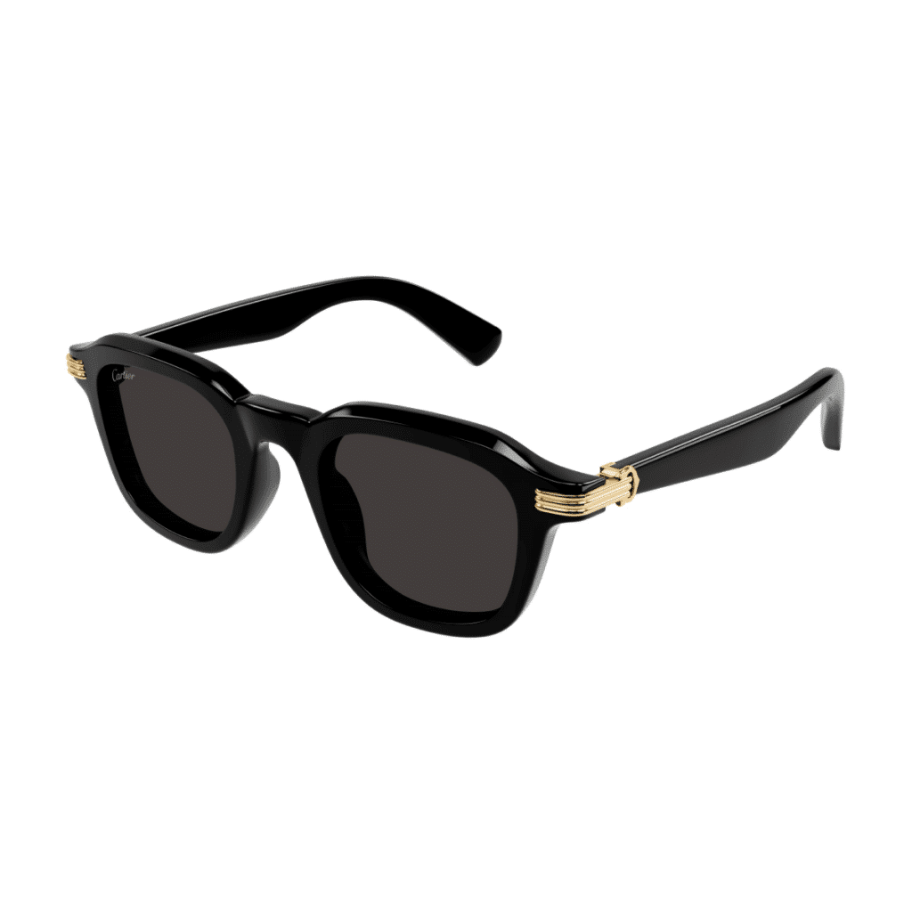 Cartier CT0536S Sunglasses | Free Shipping | Edward Beiner
