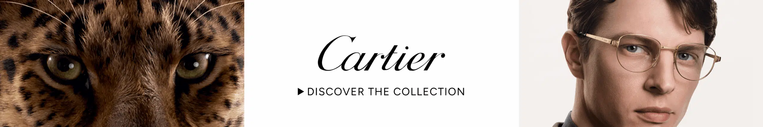 desktop-banner-image-collection