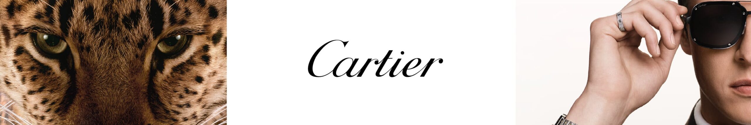 desktop-banner-image-collection