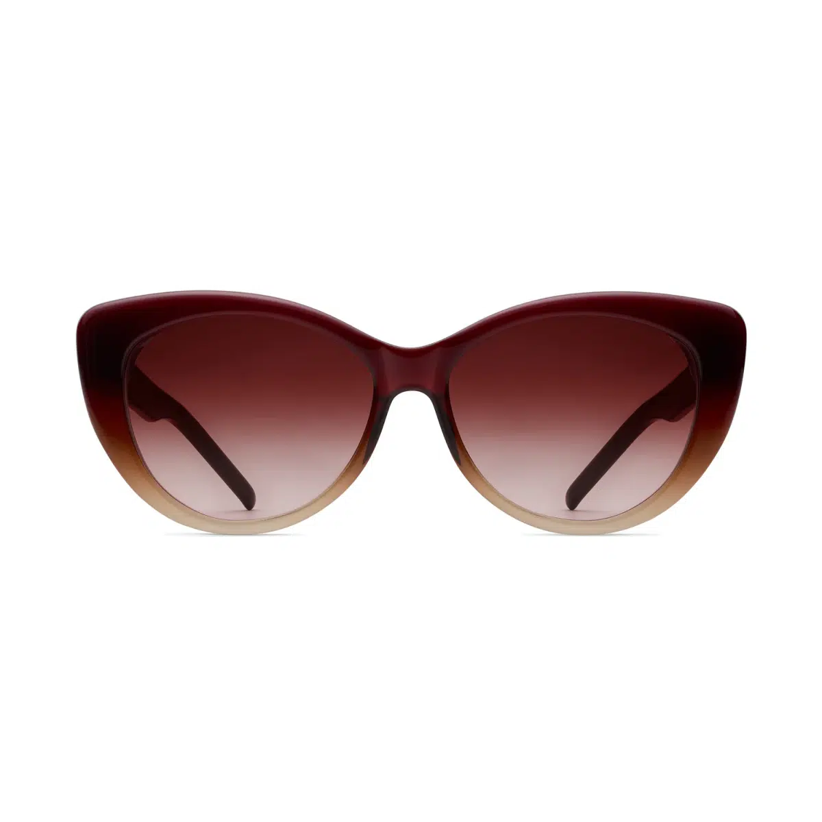 Robert Marc NYC RM 697 Sunglasses | Free Shipping | Edward  display picture 3